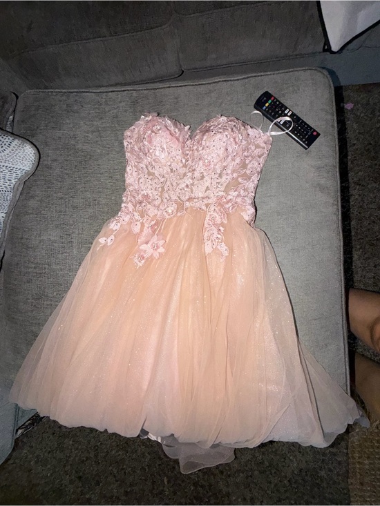 Windsor Dresses & Skirts - Windsor Strapless Blush Pink Floral Appliqué long Tulle Dress